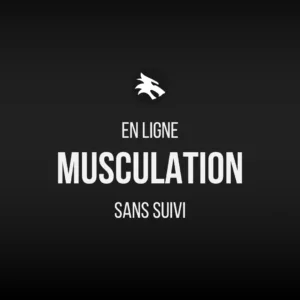 Musculation